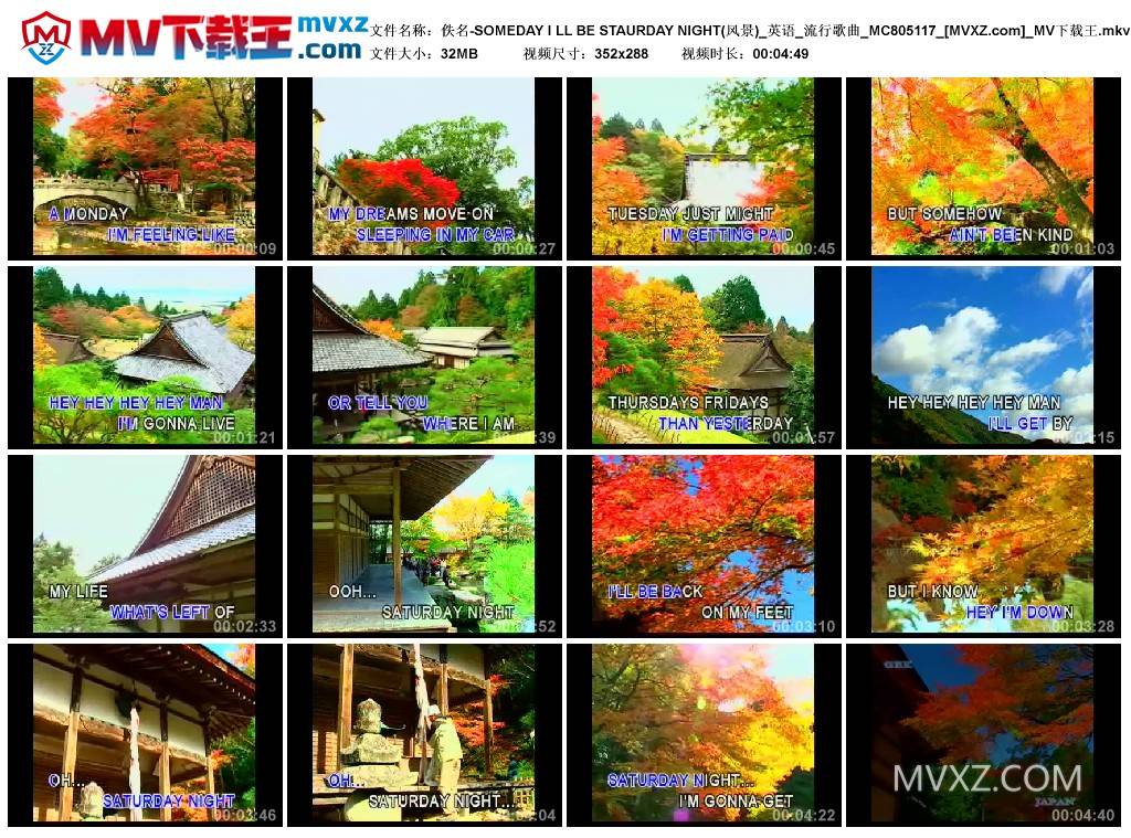 佚名-SOMEDAY I LL BE STAURDAY NIGHT(风景)_英语_流行歌曲_MC805117